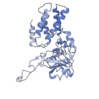 4162_6ezo_C_v1-4
Eukaryotic initiation factor EIF2B in complex with ISRIB