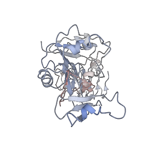 4162_6ezo_E_v1-4
Eukaryotic initiation factor EIF2B in complex with ISRIB