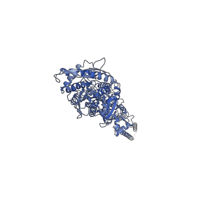 28775_8f0o_A_v1-0
cryo-EM structure of homomeric kainate receptor GluK2 in resting (apo) state