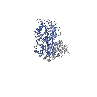 28775_8f0o_B_v1-0
cryo-EM structure of homomeric kainate receptor GluK2 in resting (apo) state