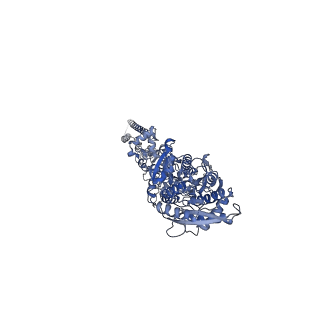 28775_8f0o_C_v1-0
cryo-EM structure of homomeric kainate receptor GluK2 in resting (apo) state