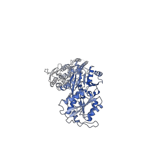 28775_8f0o_D_v1-0
cryo-EM structure of homomeric kainate receptor GluK2 in resting (apo) state