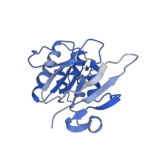 31394_7f02_A_v1-0
Cytochrome c-type biogenesis protein CcmABCD from E. coli
