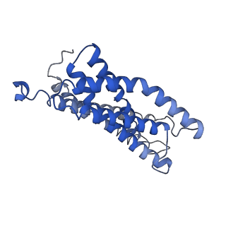 31394_7f02_C_v1-0
Cytochrome c-type biogenesis protein CcmABCD from E. coli