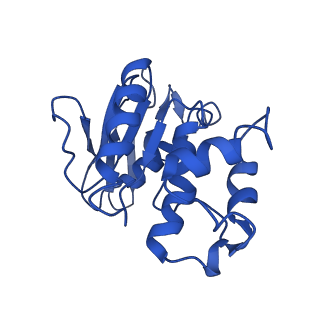 31394_7f02_E_v1-0
Cytochrome c-type biogenesis protein CcmABCD from E. coli