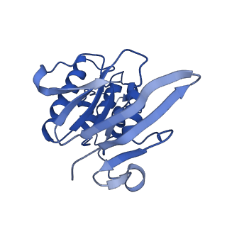 31395_7f03_A_v1-0
Cytochrome c-type biogenesis protein CcmABCD from E. coli in complex with ANP