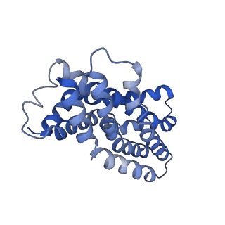 31395_7f03_B_v1-0
Cytochrome c-type biogenesis protein CcmABCD from E. coli in complex with ANP