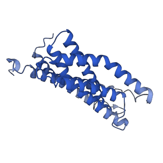31395_7f03_C_v1-0
Cytochrome c-type biogenesis protein CcmABCD from E. coli in complex with ANP