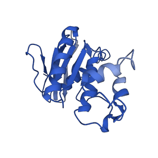 31395_7f03_E_v1-0
Cytochrome c-type biogenesis protein CcmABCD from E. coli in complex with ANP