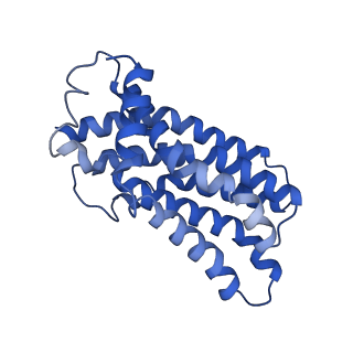 31395_7f03_F_v1-0
Cytochrome c-type biogenesis protein CcmABCD from E. coli in complex with ANP
