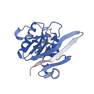 31396_7f04_A_v1-0
Cytochrome c-type biogenesis protein CcmABCD from E. coli in complex with Heme and ATP.