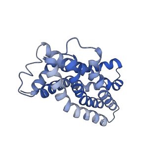 31396_7f04_B_v1-0
Cytochrome c-type biogenesis protein CcmABCD from E. coli in complex with Heme and ATP.
