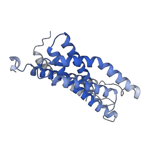 31396_7f04_C_v1-0
Cytochrome c-type biogenesis protein CcmABCD from E. coli in complex with Heme and ATP.