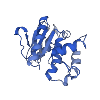 31396_7f04_E_v1-0
Cytochrome c-type biogenesis protein CcmABCD from E. coli in complex with Heme and ATP.