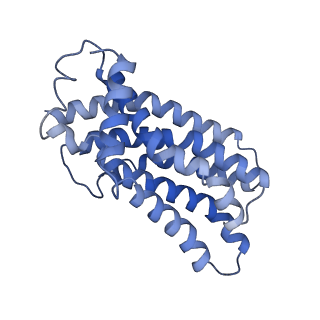 31396_7f04_F_v1-0
Cytochrome c-type biogenesis protein CcmABCD from E. coli in complex with Heme and ATP.