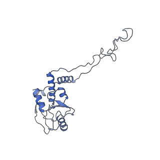 31398_7f0d_E_v1-0
Cryo-EM structure of Mycobacterium tuberculosis 50S ribosome subunit bound with clarithromycin