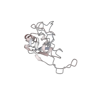 31398_7f0d_F_v1-0
Cryo-EM structure of Mycobacterium tuberculosis 50S ribosome subunit bound with clarithromycin