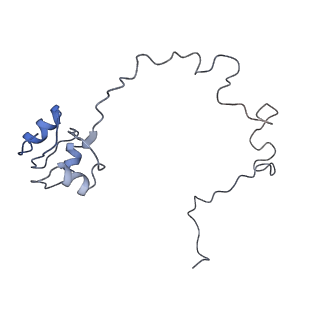 31398_7f0d_L_v1-0
Cryo-EM structure of Mycobacterium tuberculosis 50S ribosome subunit bound with clarithromycin
