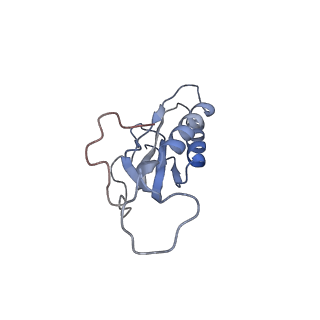 31398_7f0d_M_v1-0
Cryo-EM structure of Mycobacterium tuberculosis 50S ribosome subunit bound with clarithromycin