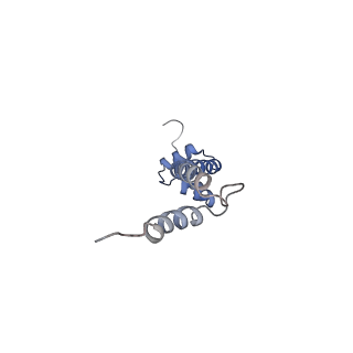 31398_7f0d_Q_v1-0
Cryo-EM structure of Mycobacterium tuberculosis 50S ribosome subunit bound with clarithromycin