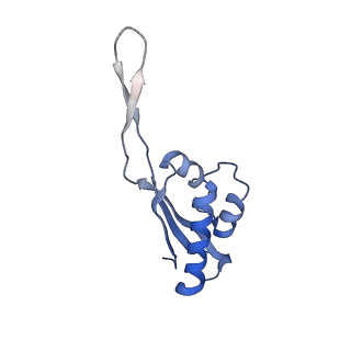 31398_7f0d_S_v1-0
Cryo-EM structure of Mycobacterium tuberculosis 50S ribosome subunit bound with clarithromycin