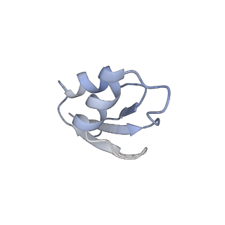 31398_7f0d_Z_v1-0
Cryo-EM structure of Mycobacterium tuberculosis 50S ribosome subunit bound with clarithromycin