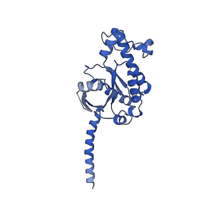 31404_7f0t_A_v1-1
Cryo-EM structure of dopamine receptor 1 and mini-Gs complex with dopamine bound