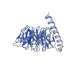 31404_7f0t_B_v1-1
Cryo-EM structure of dopamine receptor 1 and mini-Gs complex with dopamine bound