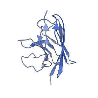 31404_7f0t_E_v1-1
Cryo-EM structure of dopamine receptor 1 and mini-Gs complex with dopamine bound