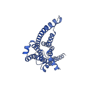 31404_7f0t_F_v1-1
Cryo-EM structure of dopamine receptor 1 and mini-Gs complex with dopamine bound