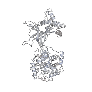 3960_6f0l_2_v1-4
S. cerevisiae MCM double hexamer bound to duplex DNA