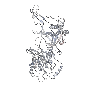 3960_6f0l_3_v1-4
S. cerevisiae MCM double hexamer bound to duplex DNA