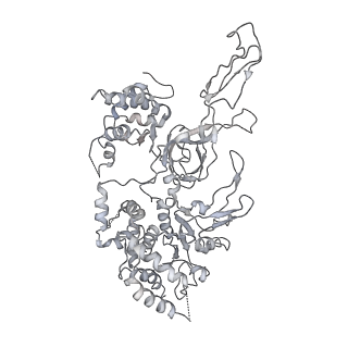 3960_6f0l_4_v1-4
S. cerevisiae MCM double hexamer bound to duplex DNA