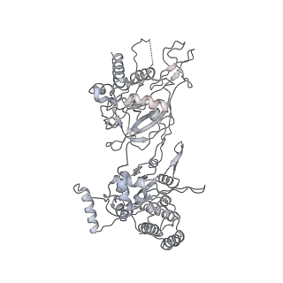 3960_6f0l_6_v1-4
S. cerevisiae MCM double hexamer bound to duplex DNA