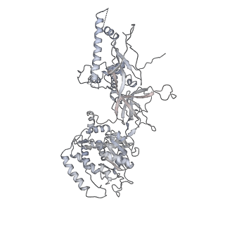 3960_6f0l_7_v1-4
S. cerevisiae MCM double hexamer bound to duplex DNA