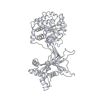 3960_6f0l_A_v1-4
S. cerevisiae MCM double hexamer bound to duplex DNA