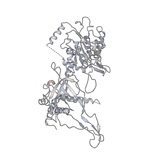 3960_6f0l_B_v1-4
S. cerevisiae MCM double hexamer bound to duplex DNA