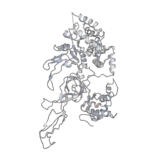3960_6f0l_C_v1-4
S. cerevisiae MCM double hexamer bound to duplex DNA
