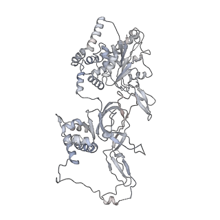 3960_6f0l_D_v1-4
S. cerevisiae MCM double hexamer bound to duplex DNA