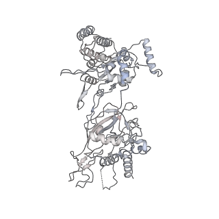 3960_6f0l_E_v1-4
S. cerevisiae MCM double hexamer bound to duplex DNA