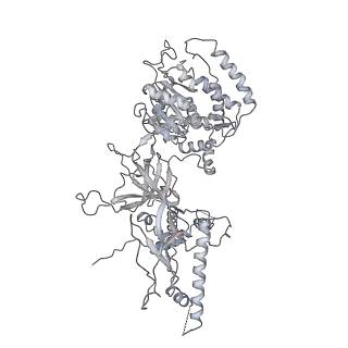 3960_6f0l_F_v1-4
S. cerevisiae MCM double hexamer bound to duplex DNA