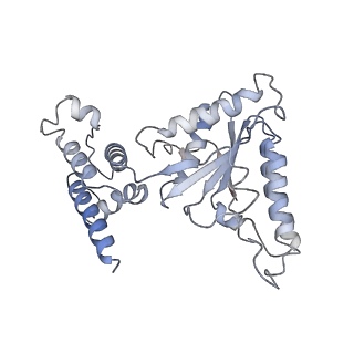 4166_6f0x_A_v1-3
Cryo-EM structure of TRIP13 in complex with ATP gamma S, p31comet, C-Mad2 and Cdc20