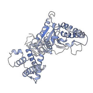 4166_6f0x_B_v1-3
Cryo-EM structure of TRIP13 in complex with ATP gamma S, p31comet, C-Mad2 and Cdc20