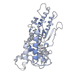 4166_6f0x_C_v1-3
Cryo-EM structure of TRIP13 in complex with ATP gamma S, p31comet, C-Mad2 and Cdc20