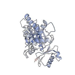 4166_6f0x_D_v1-3
Cryo-EM structure of TRIP13 in complex with ATP gamma S, p31comet, C-Mad2 and Cdc20