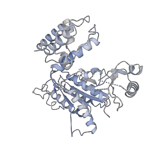 4166_6f0x_E_v1-3
Cryo-EM structure of TRIP13 in complex with ATP gamma S, p31comet, C-Mad2 and Cdc20