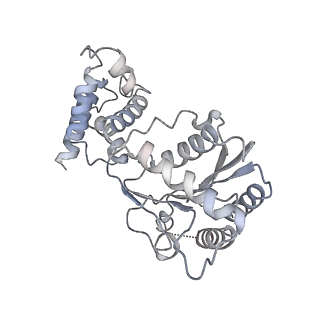 4166_6f0x_F_v1-3
Cryo-EM structure of TRIP13 in complex with ATP gamma S, p31comet, C-Mad2 and Cdc20