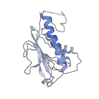 4166_6f0x_P_v1-3
Cryo-EM structure of TRIP13 in complex with ATP gamma S, p31comet, C-Mad2 and Cdc20