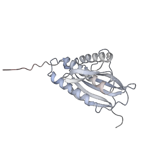 4166_6f0x_Z_v1-3
Cryo-EM structure of TRIP13 in complex with ATP gamma S, p31comet, C-Mad2 and Cdc20