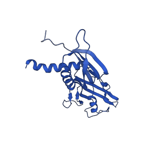28785_8f1j_G_v1-0
SigN RNA polymerase early-melted intermediate bound to mismatch DNA fragment dhsU36mm2 (-12A)